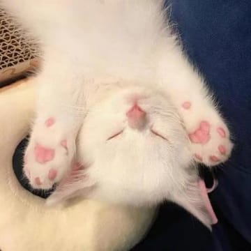 Avatar người dùng Mỹ Duyên